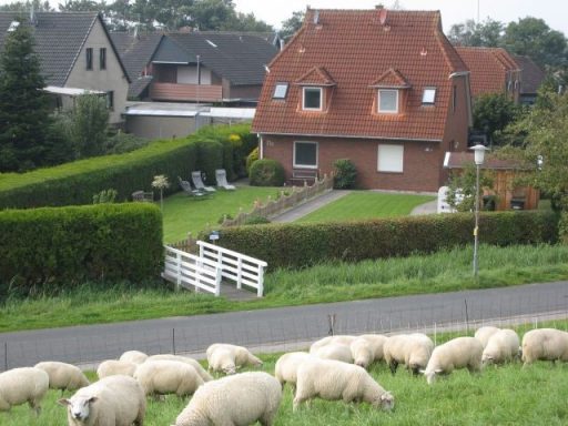 Schafe grasen auf einer Wiese vor einem roten Haus mit Garten und Terrasse.