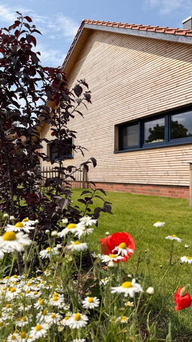 Blühende Wiese mit Gänseblümchen und Mohnblumen vor modernem Haus.